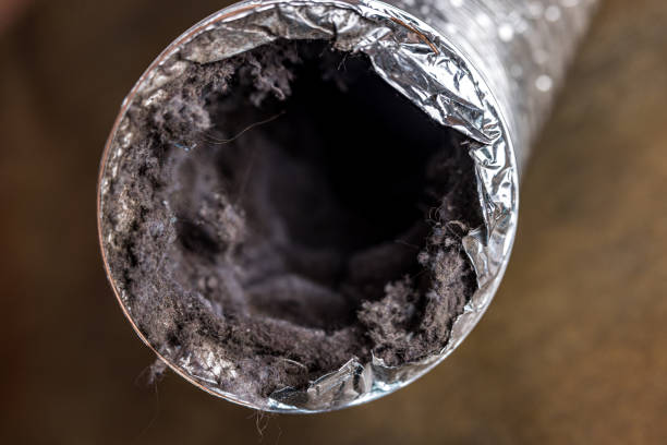 Best Commercial Air Duct Cleaning  in Dunnavant, AL